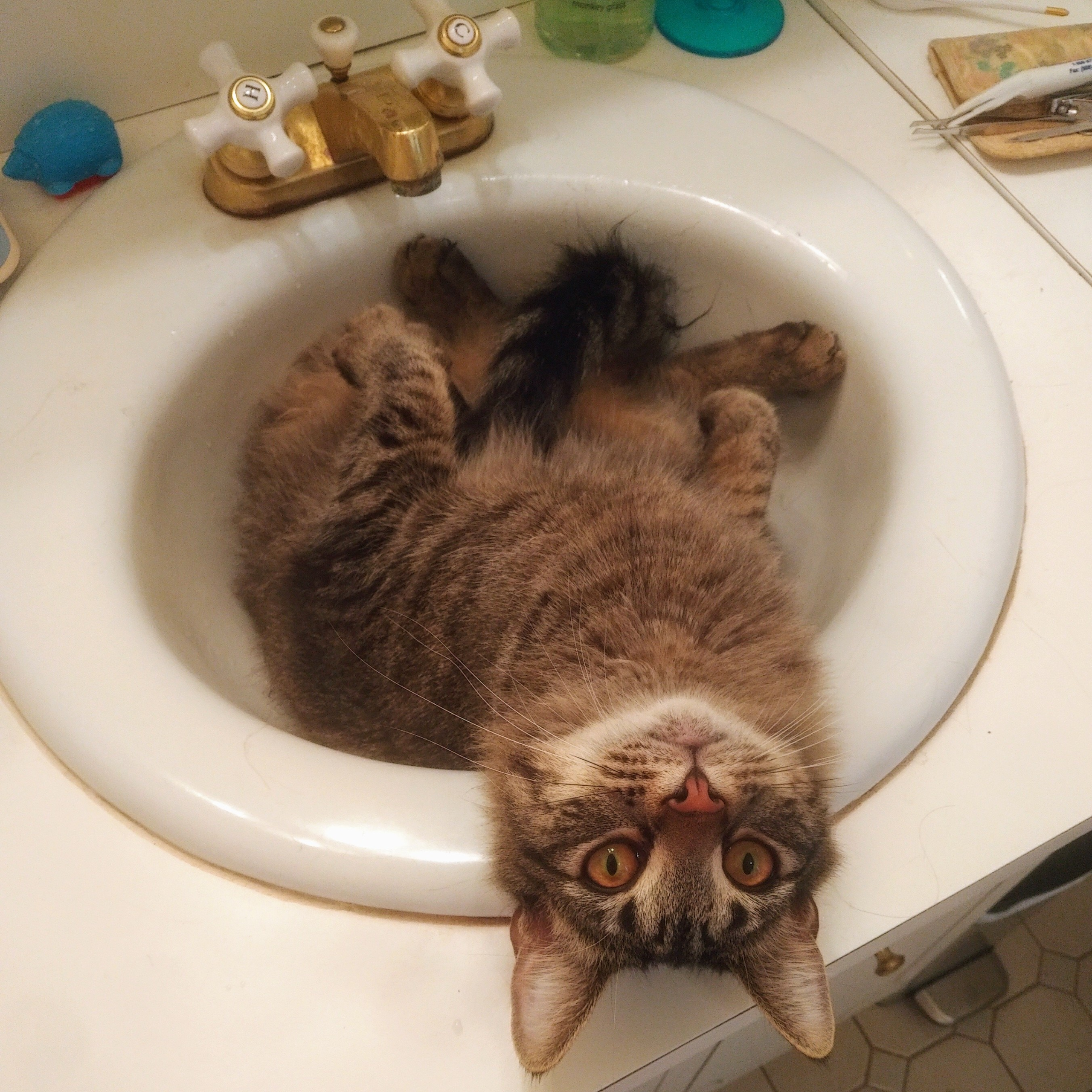 Oh, hi there!